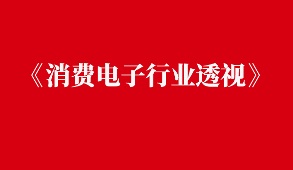 NEW—智旗最新研究成果消费电子行业透视发布