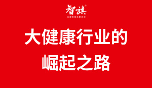 大健康行业的崛起之路