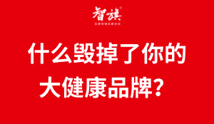 什么毁掉了你的大健康品牌？